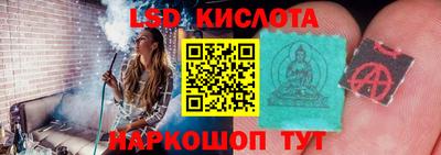 PSILOCYBIN Камышлов