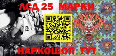 PSILOCYBIN Камышлов