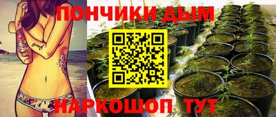 PSILOCYBIN Камышлов