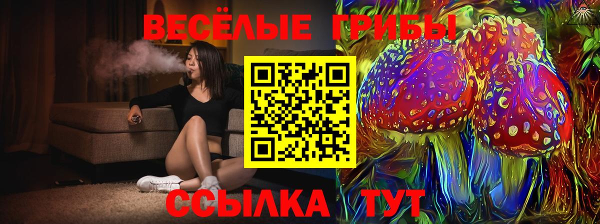 Псилоцибиновые грибы мицелий Кузнецк